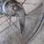 20" Schwinn S7 Wheel Set 2 thumbnail