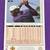 Michael Jordan Card Lot 5 thumbnail