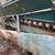 Power Screen Mark II Screen Plant w Grizzly # 4704 13 thumbnail
