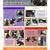 Kittens - Small adoption fee with partial refund with spay/neuter 2 thumbnail