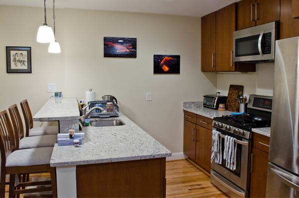 $2,000 / 1br - ***BRIGHT MODERN RENOVATED ENGLISH BASEMENT APT *** (Washington)64040027710465122
