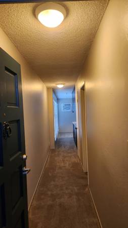 Affordable Studio with Smart Layout 1