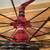 Road Bike Rear Wheel With Novatec F372SB Hub 10 Speed SunRace Cassette 4 thumbnail