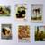Wild Animals Postage Stamp Collection 2 thumbnail