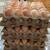 Chickens/Gallinas 2 thumbnail