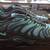 NEW Nike Air Max Plus Drift Deep Royal Blue Shoes Size 12.5 2 thumbnail
