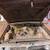 66 Coronet Convertible 9 thumbnail