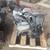 💲★ 2000-2004 LEXUS ES300 - 3.0 L ENGINE - #M18868 ★💲 2 thumbnail