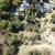 Vacant Land for Sale - 3905 N Hopevale Dr 4 thumbnail