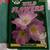 I-Spy Wild Flowers (British flower guidebook) 2 thumbnail