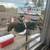 Various Flock/Livestock 21 thumbnail