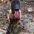 Belgian Malinois pup 5 thumbnail