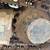 2018 CAT 307E2 (ATTACHMENT LOADED) 16 thumbnail