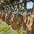 John Deere 8350 Grain Drill 9 thumbnail