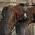 HUNTING ACCESSORIES. 3XT JACKET 14 medium BOOTS 2 thumbnail
