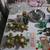 Rummage Sale: Fox Dr. FDL 9 thumbnail