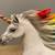 Schleich Bayala 70523 Rainbow/Glitter Unicorn Stallion 2015 4 thumbnail