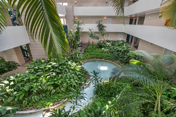 $890 / 1br - 625ft2 - Atrium View 1 Bedroom Available Soon! (Metairie)63903653067395123