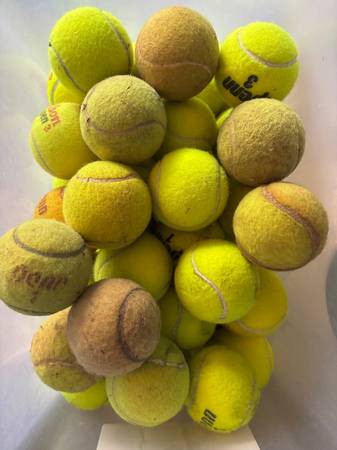 60 used Tennis Balls 1