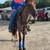 Two BLM MUSTANGS geldings 3 thumbnail