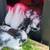 New Zealand Rabbits 7 thumbnail