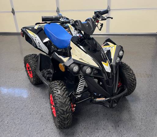 Quad Electric kids 1