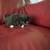 kittens white and black   cat cats 5 thumbnail