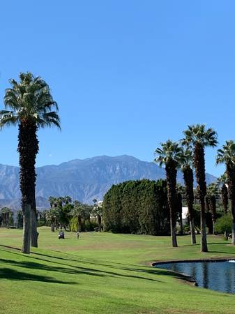 $100 / 500ft2 - Spectacular Discounted Resort Studio This Week (Palm Desert)63981531249794121