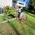 Antique 1930 single row potato planter 9 thumbnail