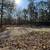 3 Acres For Sale! 19 thumbnail