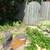 2 BDRM Patio Lrg Yard Garden Nature's Paradise 16 thumbnail