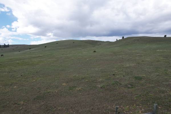 $125,000 / 890802ft2 - 20 acres listas para caballos (Garrison)63845971502337120
