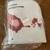 EASTER, CHRISTMAS & HALLOWEEN DECOR - FROG, STOCKINGS, ORNAMENTS, ETC. 14 thumbnail