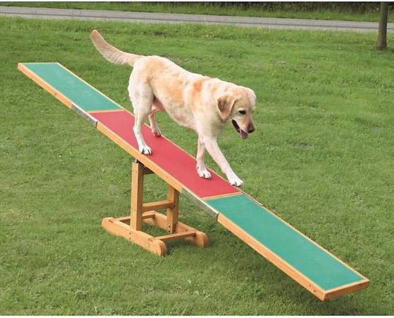 Dog agility seesaw 1
