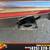 2016 Ford Mustang GT 19 thumbnail