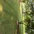 Mowing&lawn care Hummelstown PA surrounding area 3 thumbnail