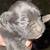 Pitbull puppies 5 thumbnail