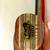 Butterfly Primorac Tamac 5000 1 thumbnail
