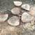 Cottonwood Round Slabs 9 thumbnail
