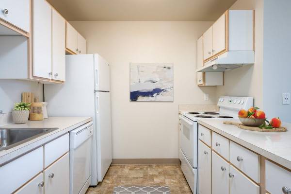 $999 / 357ft2 - Cozy Studio-Chic Breakfast Bar & Landscaped Courtyard Vibes (Buckman Neighborhood)63831535226241124