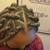 Box braid and faux locs 2 thumbnail