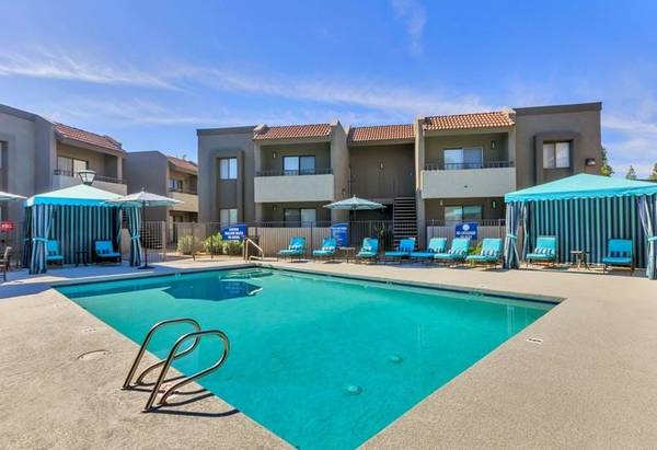 $1,349 / 1br - 750ft2 - This place will feel like home! 1 bed, 1 bath available! 750 Sq Ft! (Gilbert)63966953715330121