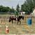 Bowie - 3yr Mustang, Ranch, Trail Ride or Show! 12 thumbnail