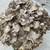 Fresh Hen Of The Woods Mushrooms 3 thumbnail