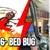 🐞THE #1 BED BUG REMOVAL HEAT TREATMENT-50% OFF-#1  🔥833-6-BED-BUG< 8 thumbnail
