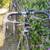 Cannondale R1000 CAD3 4 thumbnail