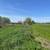 Greater Napanee, 14.75 Acres of pristine, fertile land 11 thumbnail