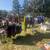 Huge Yard Sale 4 thumbnail