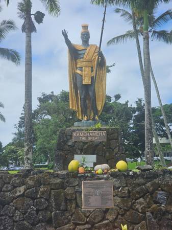 Hawaiian Rainforest Landscaper 1