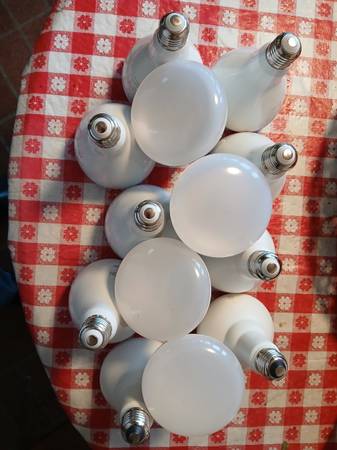 LED Floodlamp Bulbs 1